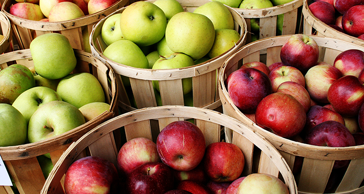 Apple Picking Apple Picking