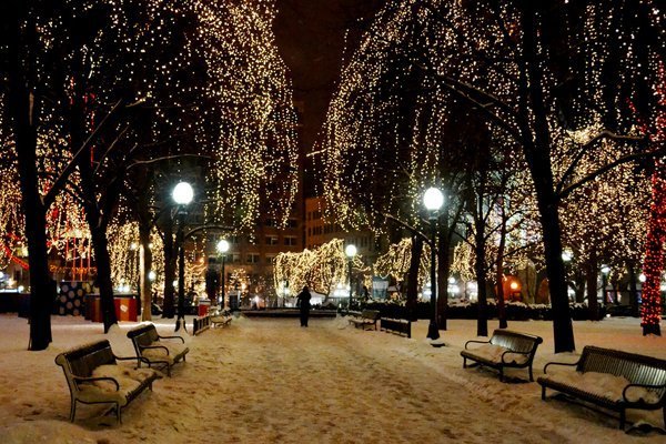 Holiday Lights in Rice Park, Saint Paul Holiday Lights in Rice Park, Saint Paul