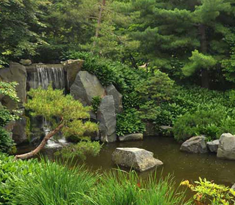 Minnesota Landscape Arboretum