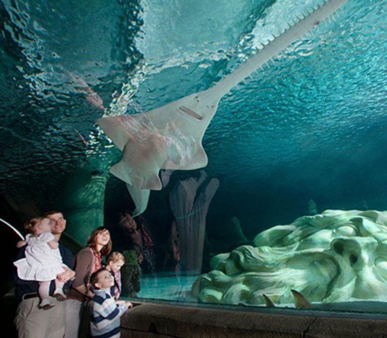 SEA LIFE Minnesota Aquarium • Visit Inver Grove Heights