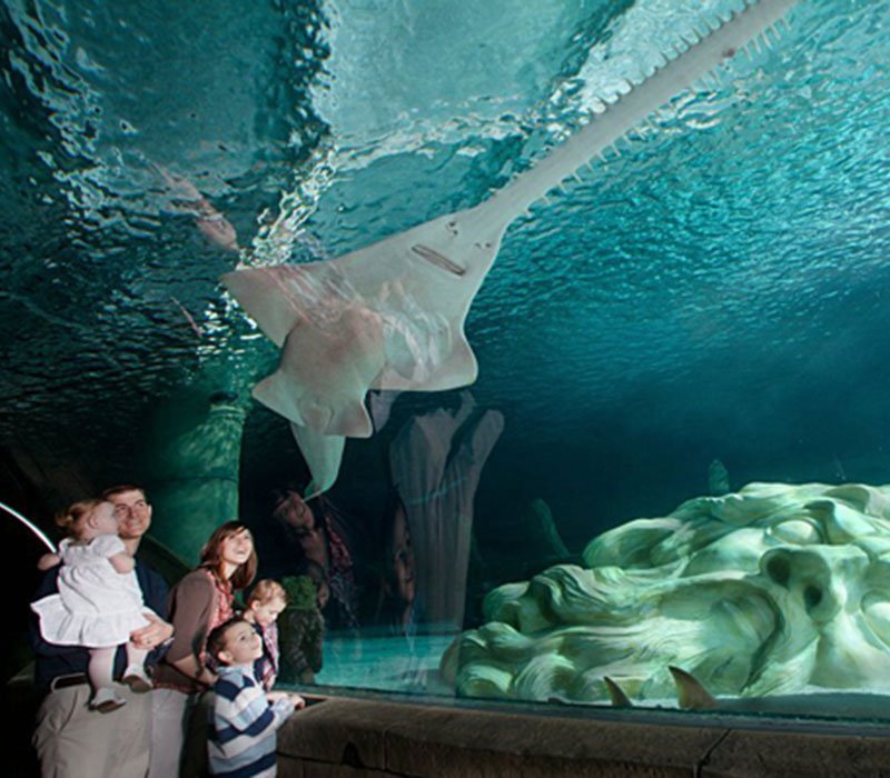 SEA LIFE at Mall of America