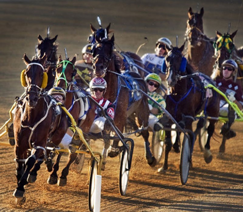Running Aces Harness Park