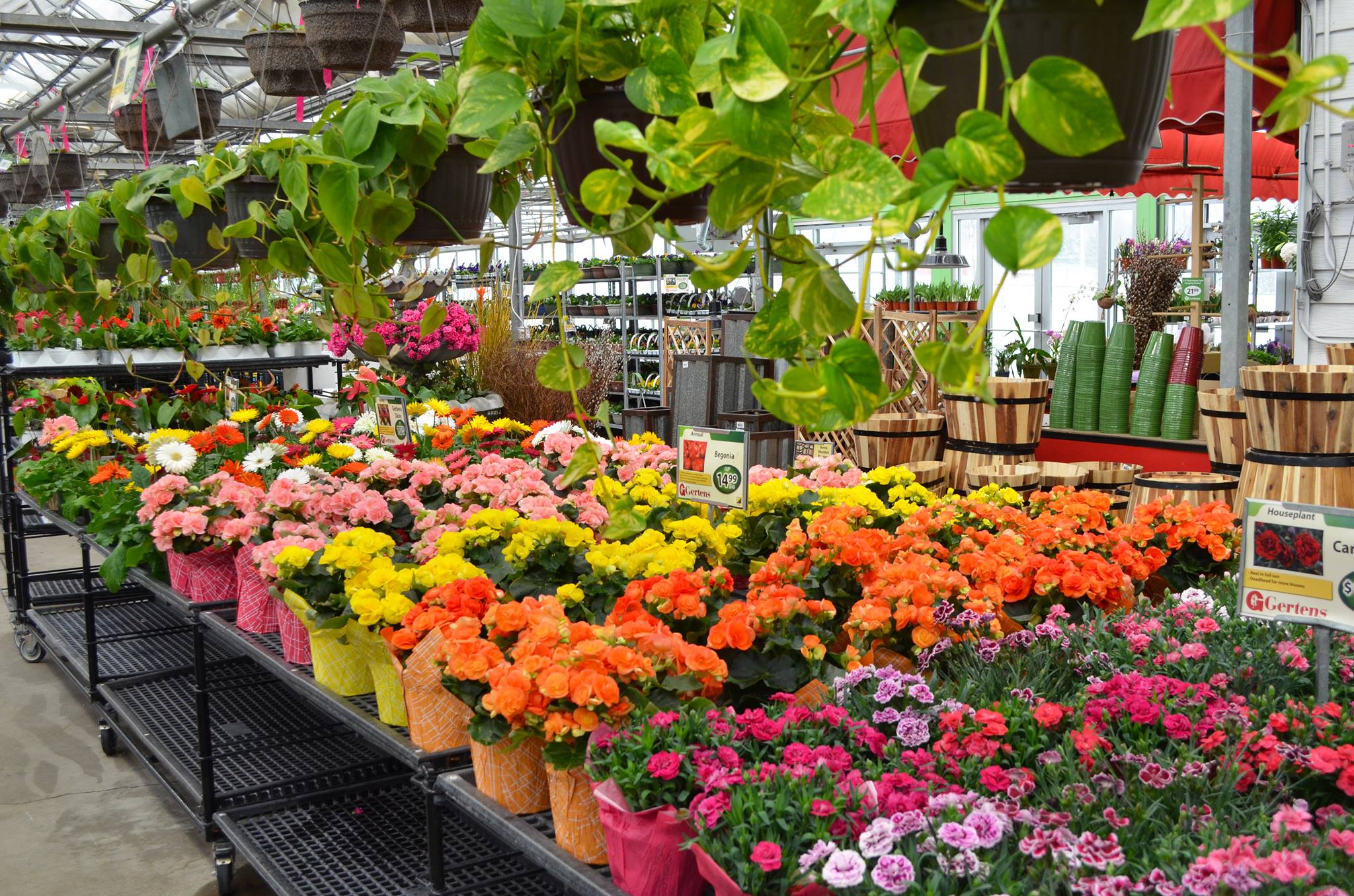 IGH Celebrate Mother's Day in Inver Grove Heights Visit Inver Grove